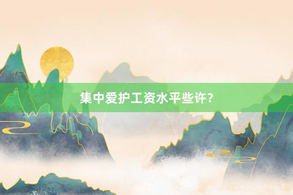 集中爱护工资水平些许？