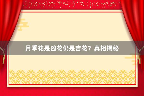 月季花是凶花仍是吉花？真相揭秘
