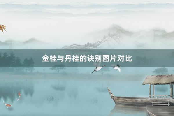 金桂与丹桂的诀别图片对比