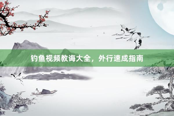 钓鱼视频教诲大全，外行速成指南