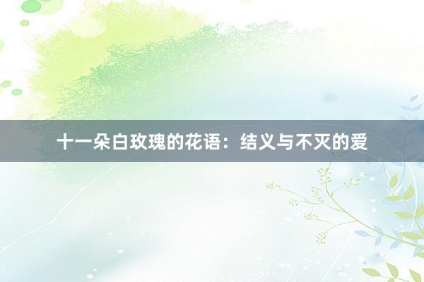 十一朵白玫瑰的花语：结义与不灭的爱